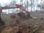 Корчевание пней Киев удаление пней Киев 0675012805