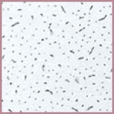 Подвесной потолок Миви (MIWI),  Киев,  спец.цена (044) 221-35-80