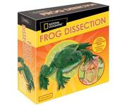 Модель лягушки