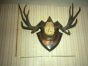 Рога Оленя: произведение искусства декоративных изделий,  великолепные.