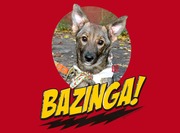 Собачка Базинга - лучшая для семьи!