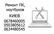 Windows в Киеве,  программы,  сеть,  профилактика
