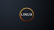 Установка Linux в Борисполе