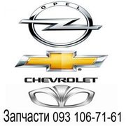 Продам оптику Opel,   Daewoo,   Chevrolet,  купить оптику Киев,  Украина.