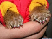 Выездной маникюр и педикюр у Вас на дому