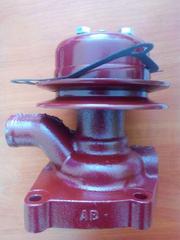 Водяной насос (помпа) на Zetor