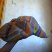 шапки шляпки и шарфы женские