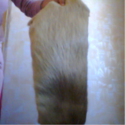 нутриевая шкурка новая