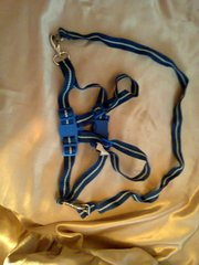  детские вожжи обычные Canpol baby (польша)