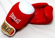 Боксёрские перчатки Everlast,  World Sport (кожа)