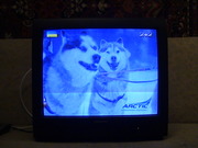 Телевизор Daewoo 55см бу