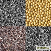 Куплю отходы масличных,  отходы семечки, жмых