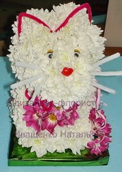 Котик из живых цветов