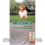 Адвантикс д/собак до 4кг (4пип. в уп. -цена за пип. )-100грн
