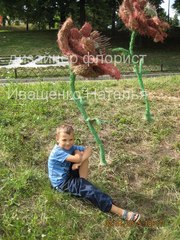 Маки для фотозоны