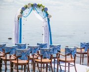 Свадебная арка из живых цветов под заказ