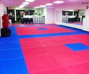 Татами ласточкин хвост, будо-маты, додянги