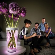 Продам вазу для цветов Philips Lumiware 69153/60/PH