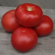 Семена индетерминантного томата Кибо F1 100 семян (Kitano Seeds)