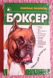 Боксёр. Автор: Михаил Джимов.