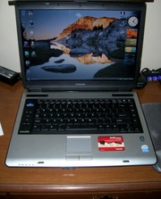 Очень шустрый и надежный ноутбук Toshiba Satellite A135.