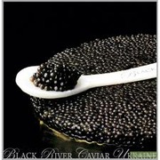 Черная икра (осетр,  стерлядь)