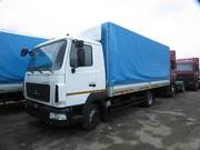 Новый МАЗ-4371N2-522-000 (Евро-5) Зубренок борт,  тент