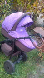 Коляска Anex Elana 2в1