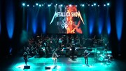 Продам два білети на Tribute Show. Metallica. 