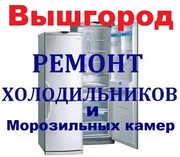 Морозильная камера,  РЕМОНТ Холодильников на дому 0508451294. Вышгород