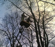 Удаление деревьев, спиливание, кронирование и подрезка