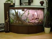 Аквариумы,  террариумы 