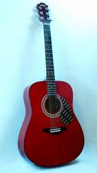 Акустическую гитару HOHNER HW-220