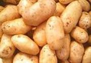 Картофель (картошка) оптом в Украине,  Киев,  продажа картофеля картошки