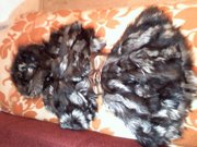 шубы в киеве