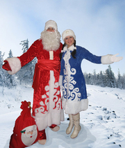 Дед Мороз и Снегурочка,  Киев