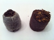 Торфяные таблетки Джиффи купить опт розница доставка